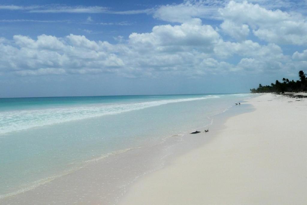 Casa Pelicanos Tulum Beach Mx - Next To Hotel Zone Buitenkant foto